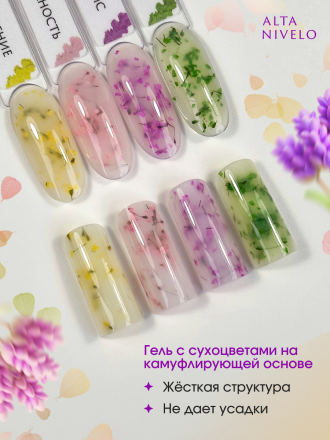 ALTA NIVELO   Gel Black ЛАВАНДОВЫЙ ПРОВАНС   15г   Гель для моделирования средне-жидкий с сухоцветами